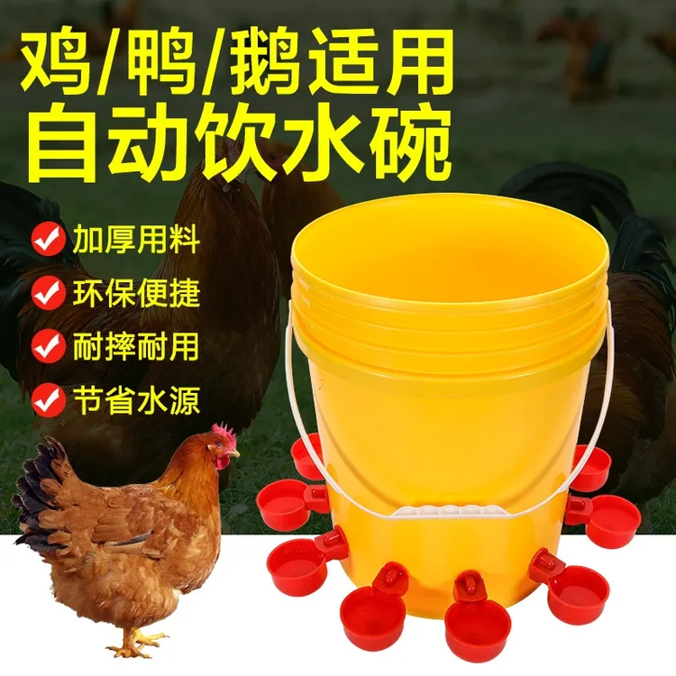 【10个装】鸡鸭鸽子自动饮水器喝水碗雏鸡鸟用饮水器鸡鹌鹑饮水器