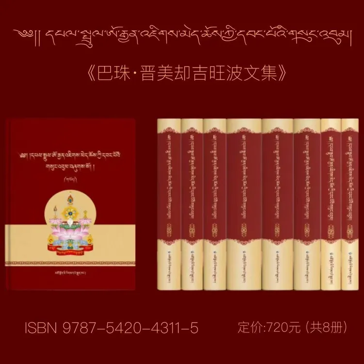 巴珠·晋美却吉旺波文集.第八卷:藏文