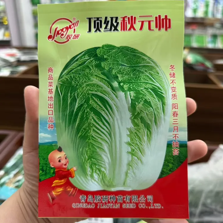 青岛胶研秋元帅耐寒可冬储可越冬的黄心大白菜种子适合秋季种植