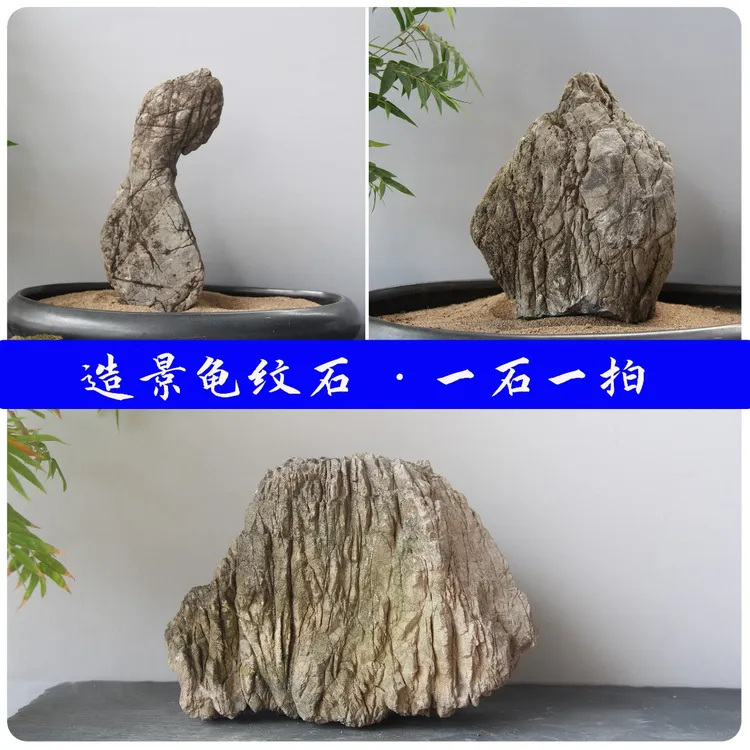 精选天然龟纹石山水盆景石鱼缸造景石桌面景观阳台花箱装饰真石头