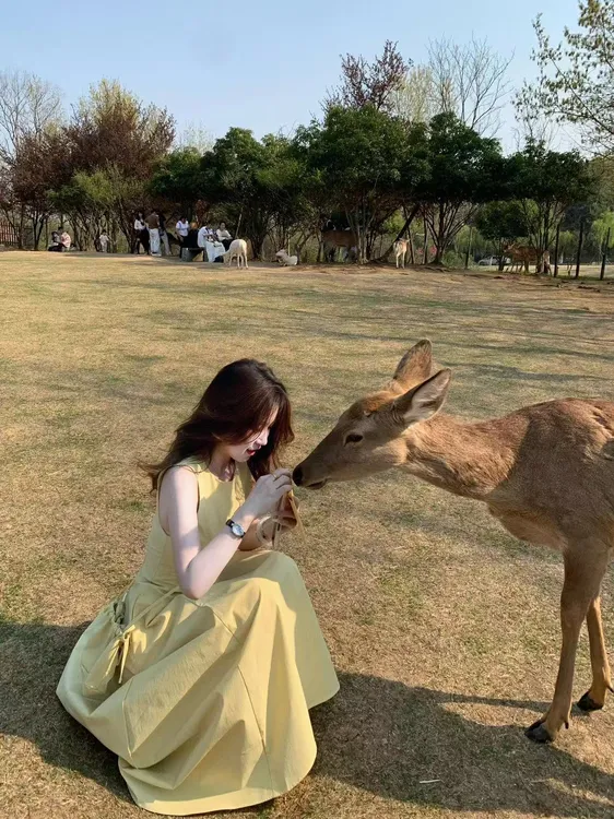 2025春夏新款温柔无袖黄色连衣裙女韩版圆领收腰显瘦气质背心长裙