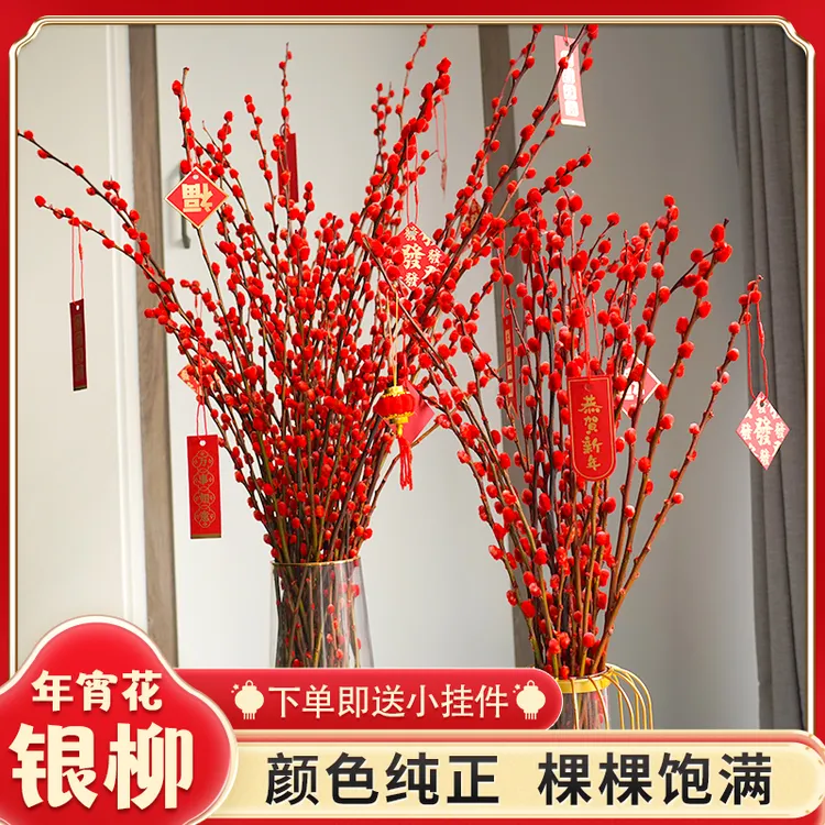 银柳真花新年红色手工干花鲜枝银柳耐寒年宵花水培花卉客厅装饰花