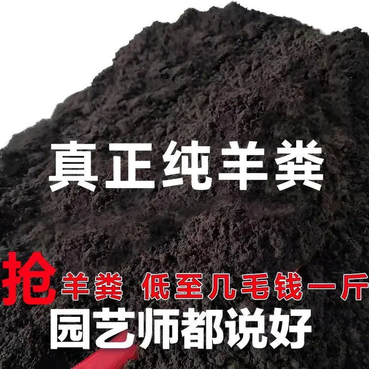 50斤大包装发酵纯羊粪种菜家用农家粪蔬菜绿植养花种菜专用肥商品图