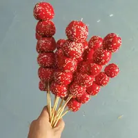 仿真芝麻糖葫芦道具 假冰糖葫芦水果模型舞蹈舞台婚纱摄影幼儿园
