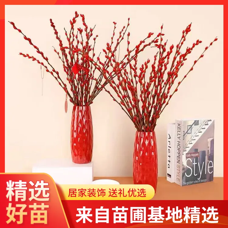 银柳年宵花真花客厅摆件冬季鲜花室内