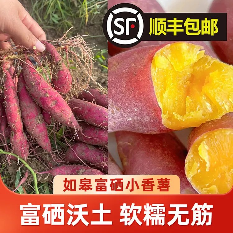 （收货放2天糖化 口感更佳）如皋本地富硒小香薯5斤软糯 现挖 粗粮 