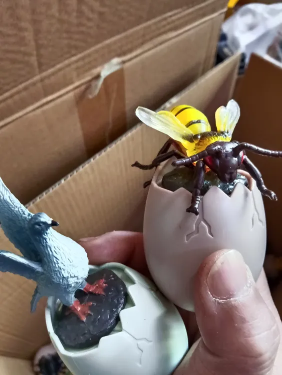 【不包电池 库存玩具】音乐动物蛋 玩具