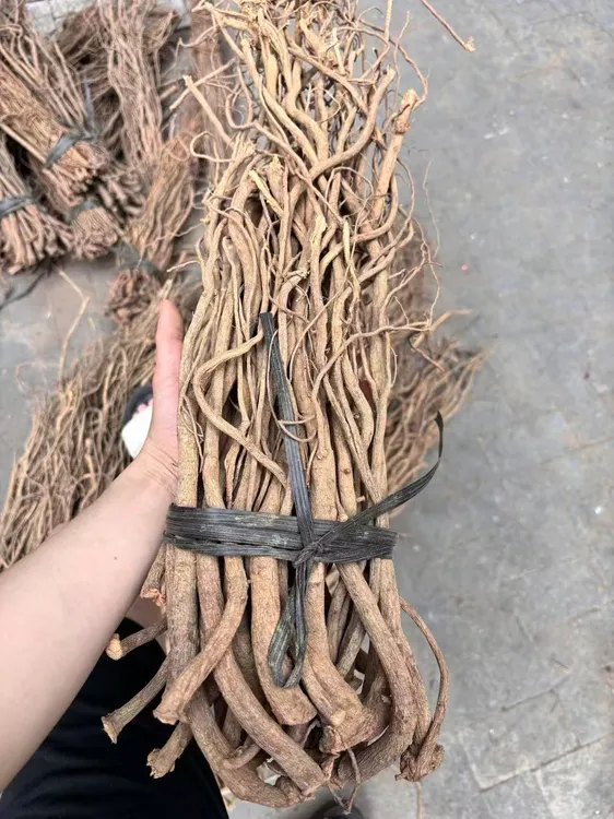 鱼藤根于藤根 渔藤根 鱼藤（根）一整箱批发鱼藤精