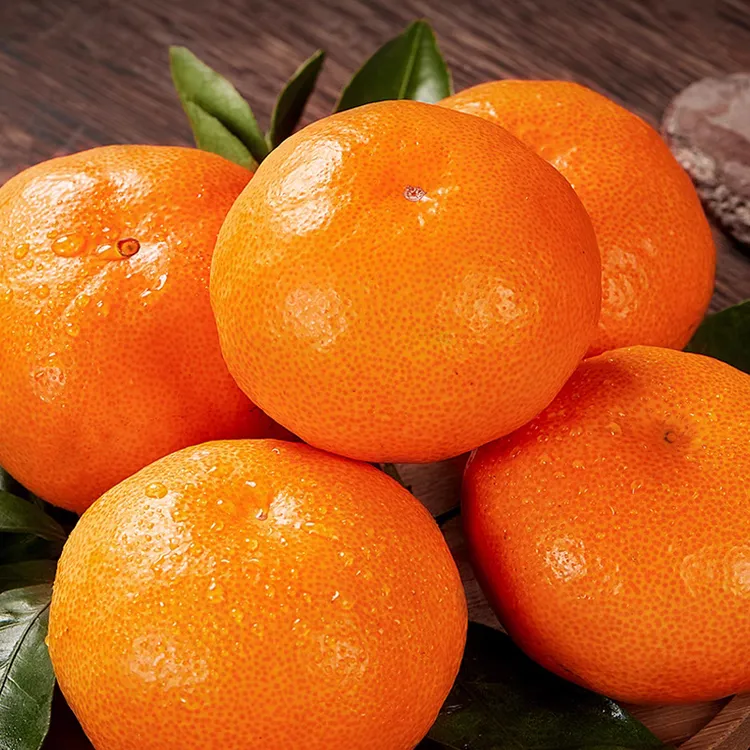 【展卉】浙江涌泉蜜桔4.5-5斤装产地直发 顺丰快递