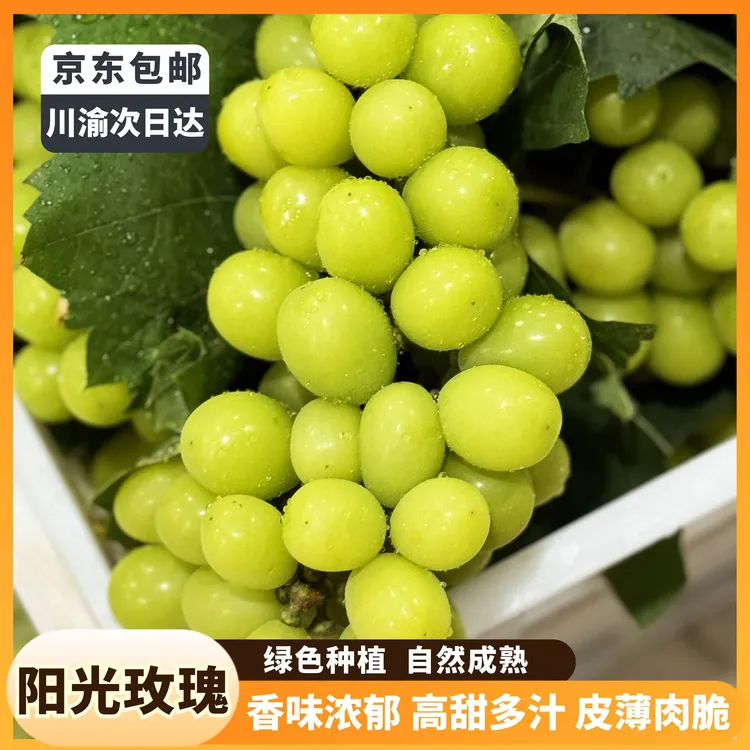 【京东包邮】阳光玫瑰香气浓郁高甜爆汁脆爽 4.5-5斤装 绿色认证