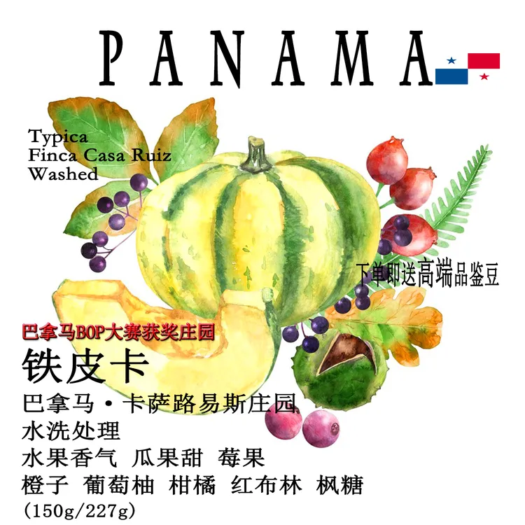 巴拿马卡萨路易斯庄园铁皮卡Typica水洗手冲精品咖啡豆瓜果甜现烘