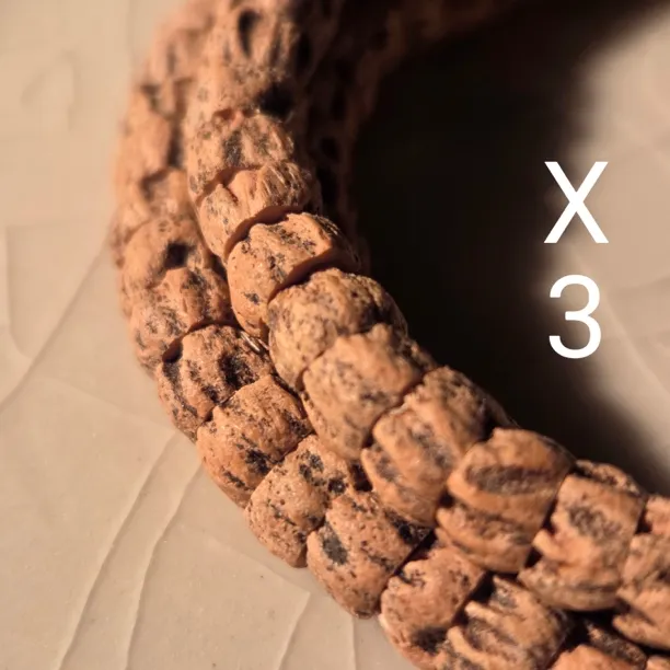 【x3微斜切满鬼】热振粉油皮百香籽满鬼脏肠