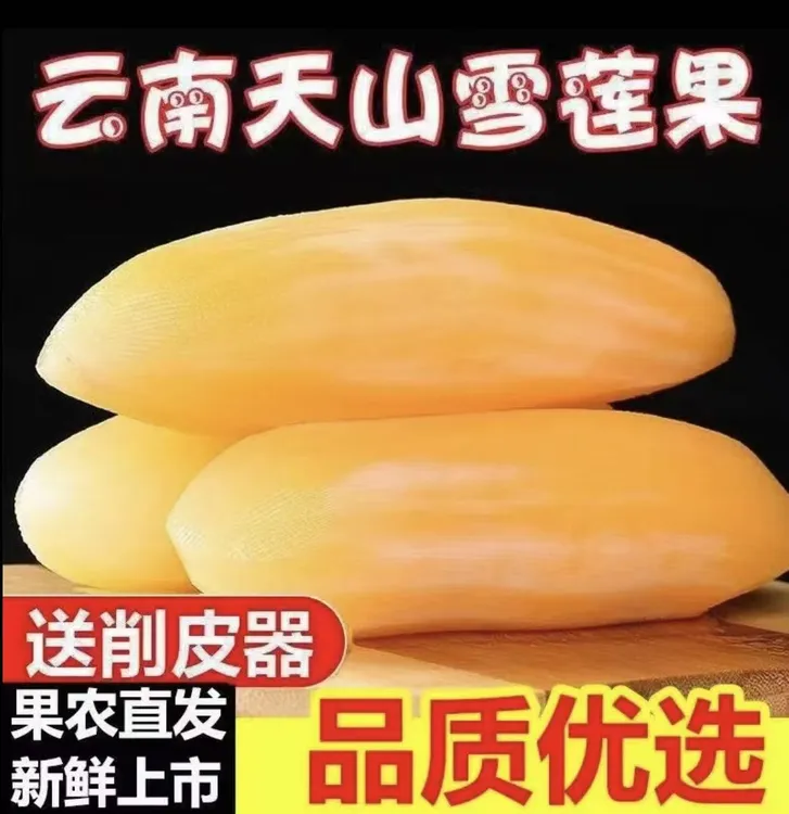 云南正宗现挖黄心天山雪莲果新鲜脆甜多汁应季水果10斤装包邮xx