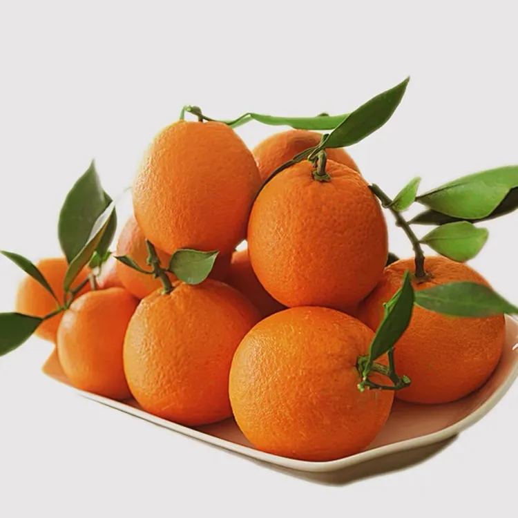 正宗赣南脐橙真实江西赣州现摘现发应季水果通话皮薄香甜多汁刀疤