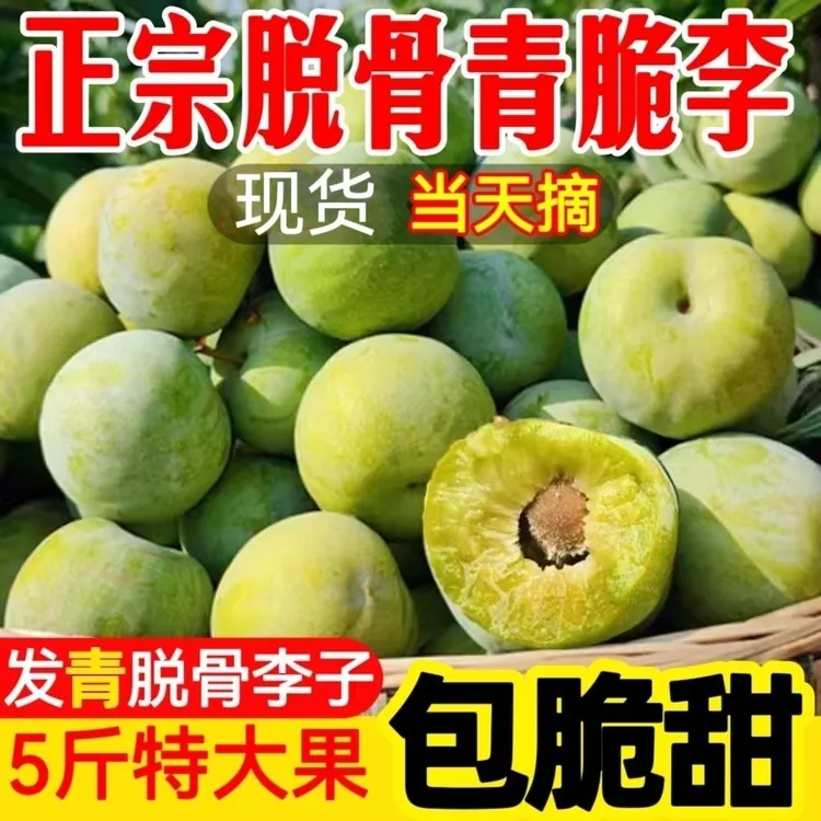 正宗重庆开州高山青脆李新鲜当季水果