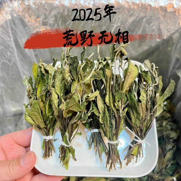 《荒野无相》2025年古树珍白茶荒野寿眉凤尾茶扫把茶龙须茶500克