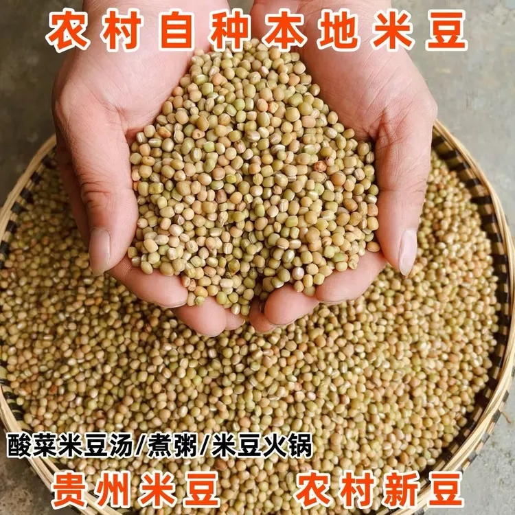 贵州豆米农家种植本地小豆酸菜米豆汤煮粥米豆火锅小块地种植新货