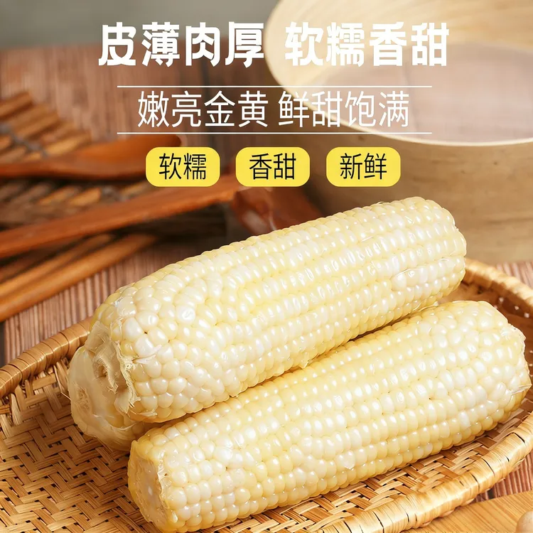 【10支】东北白糯玉米现摘大棒即食香甜软糯早餐代餐塑封真空包装