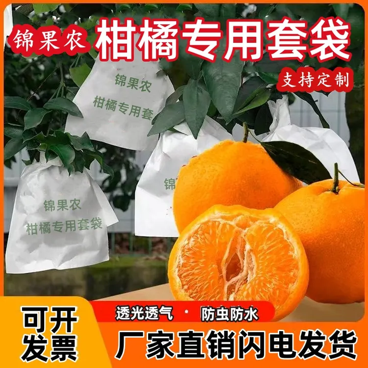果园优选专用柑橘防晒防虫袋橘子袋柑橘套袋专用袋