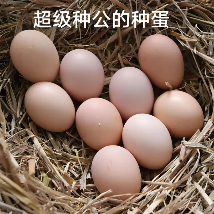 贵州农村散养土鸡蛋新鲜现捡五彩土鸡蛋30枚
