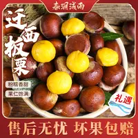 【春涧浅雨】河北迁西板栗3斤约55-80粒（含一个板栗夹）