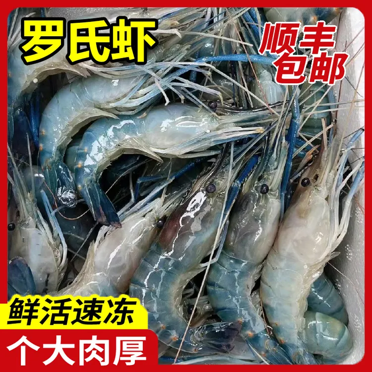 冰鲜罗氏虾顺丰包邮 大头虾沼虾 餐饮自助量大优惠价可自定义规格