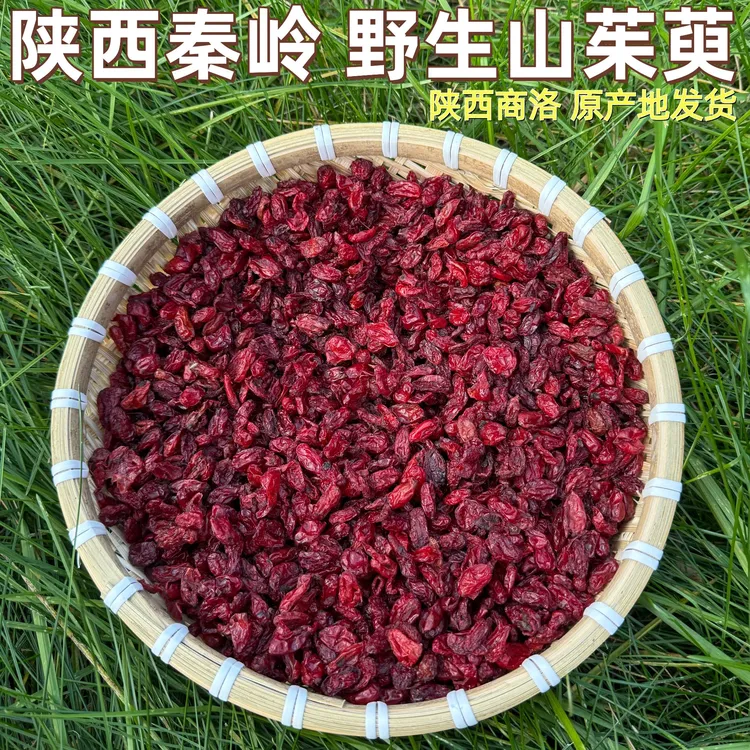 秦岭野生无核山茱萸干货可泡酒泡水喝的山萸肉陕西秦岭原产地发货