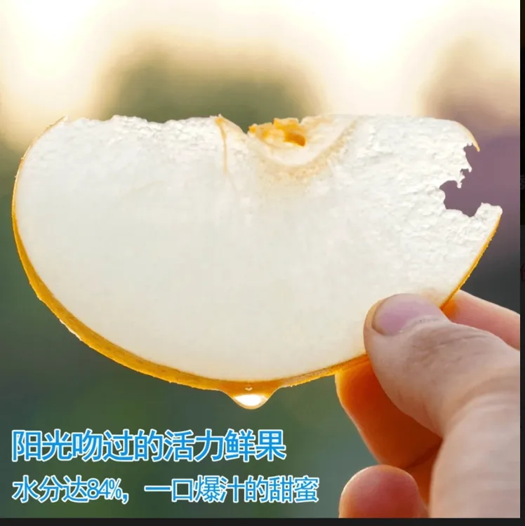 【京东包邮】正宗秋月梨/莱阳品质/新鲜当季水果/薄皮脆甜多汁梨子