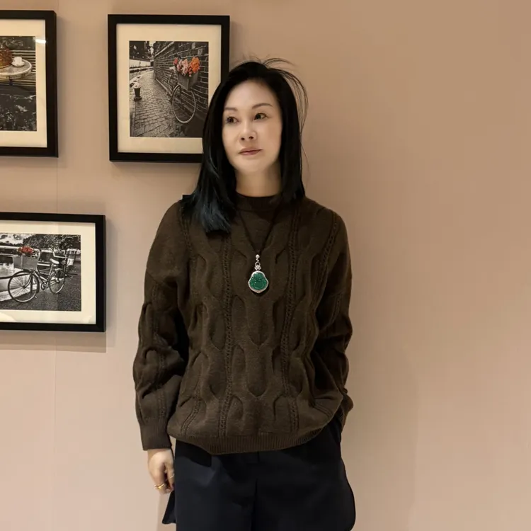 BARRIAILEN | 羊绒羊毛秋冬休闲套头长袖针织衫-2411041