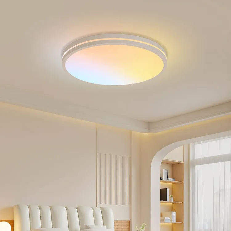 卧室客厅吸顶灯简约餐厅圆形家用客厅灯客厅圆灯北欧书房走廊灯饰