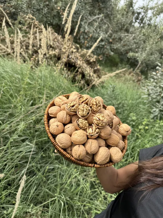 新疆阿克苏薄皮核桃手剥即开营养坚果休闲解馋零食