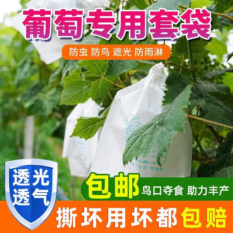 葡萄套袋专用袋防虫葡萄套育袋葡纸袋葡萄袋果袋袋子防水萄专用的