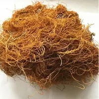 【金丝红雪茶】野生金丝红雪茶正宗云南高山山货