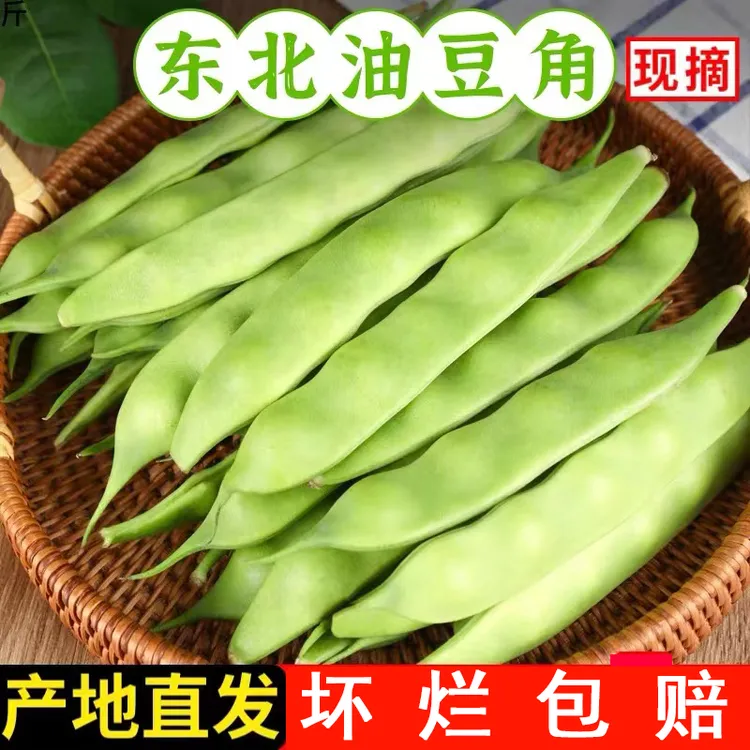 东北油豆角现摘新鲜蔬菜正宗一点红油豆角九月青黑龙江整箱包邮