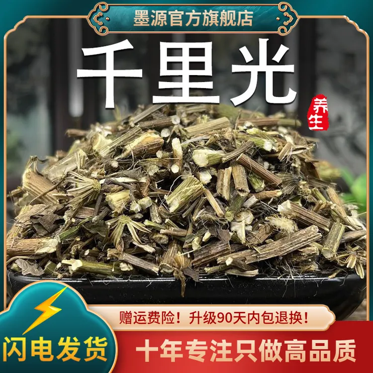 千里光中草药千里光中药材九里明九里光新鲜非野生粉干货洗澡泡澡