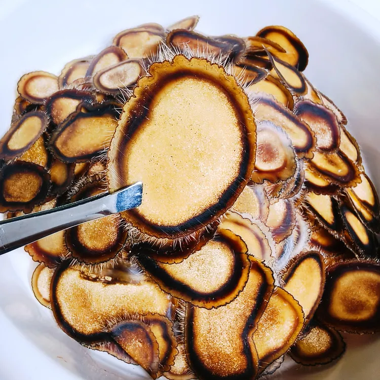 梅花鹿半蜡鹿茸片营养丰富可泡水煲汤秋冬滋补佳品