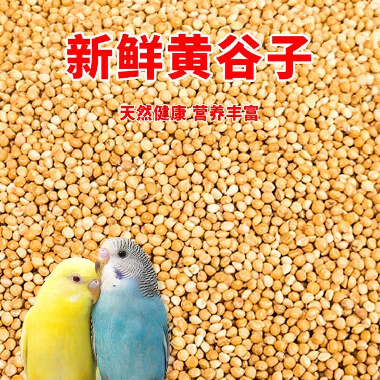 鹦鹉饲料鸟粮新黄谷子带壳小米虎皮鹦鹉饲料玄凤牡丹专用鸟食粮食