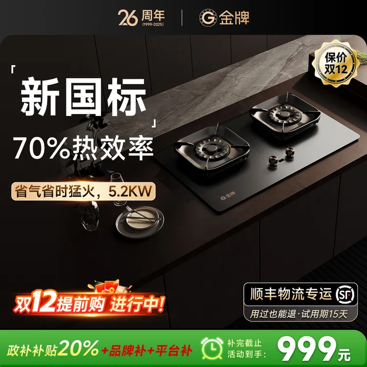 金牌GOLDENHOME煤气灶天然气灶燃气灶双灶带定时童锁保护熄火保护