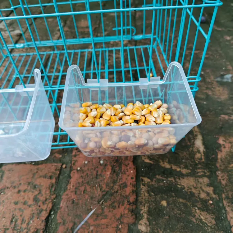 鸽子透明防撒粮挂盒