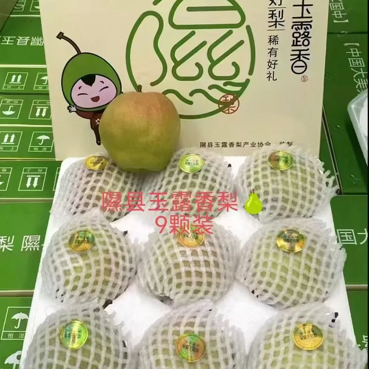 正宗隰县玉露香梨9颗大果
