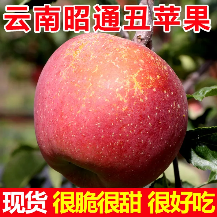 【大目专属】云南昭通冰糖心丑苹果5/9斤现货当季新鲜苹果整箱包邮