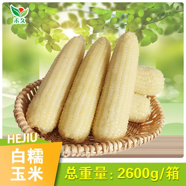 【禾久】白糯玉米 260g*10根/箱（整箱2.6kg) 商品图