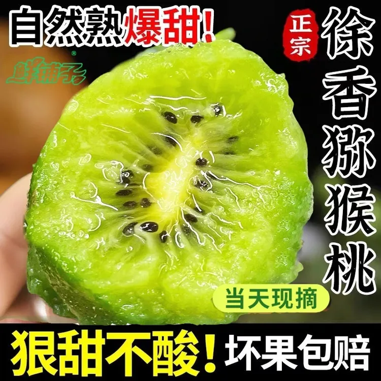 【鲜铺子】陕西周至徐香猕猴桃 正宗新鲜水果 纯甜绿心奇异果自然熟