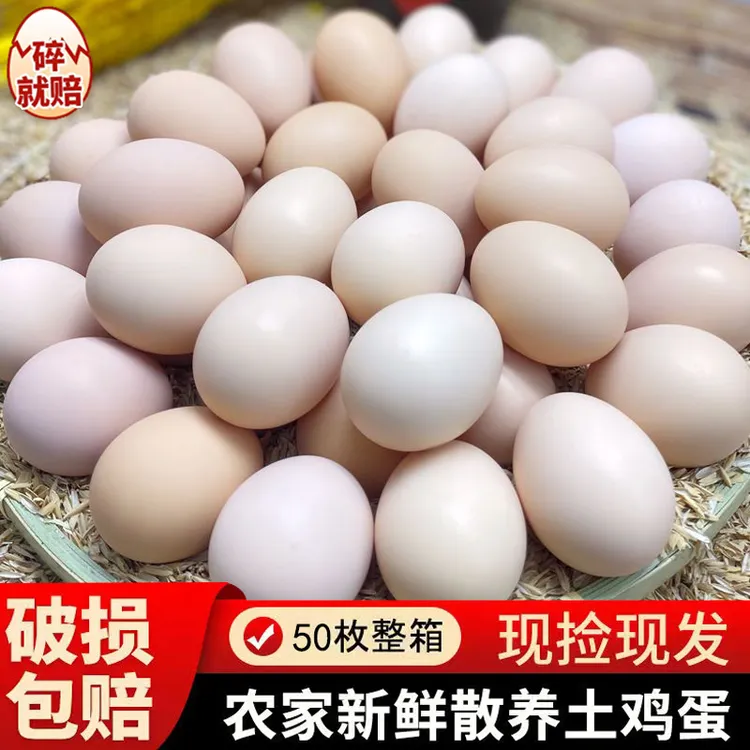【50枚】新鲜现捡农家土鸡蛋山林散养谷物喂养鸡蛋40-50克/枚