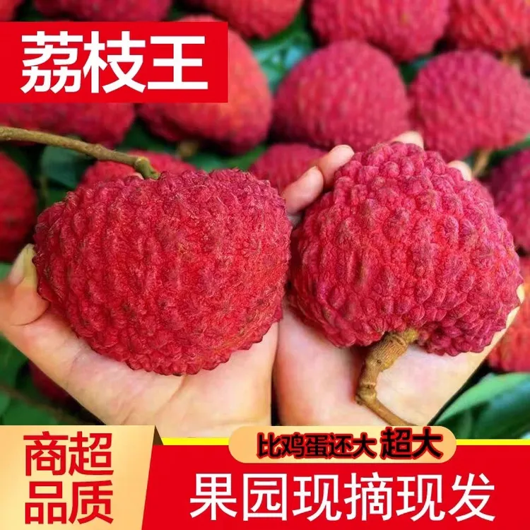 荔枝王新鲜水果现摘直播卖货非海南永兴精品巨无霸大果送礼整箱