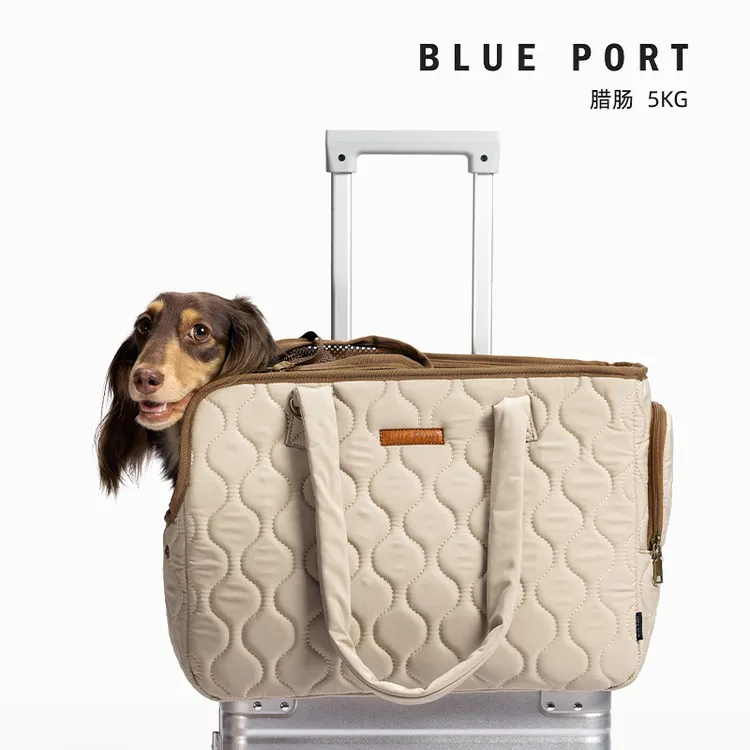 宠物外出包便携多功能四季通用车载航空猫狗包