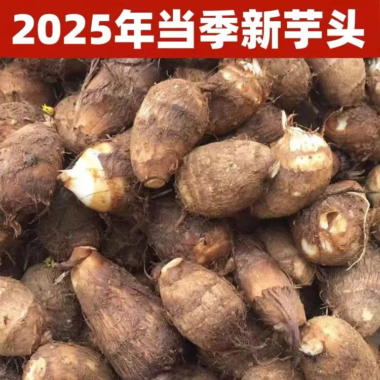 【现挖现发】江西现挖新鲜牛奶芋头正宗香芋毛芋头小香芋芋芋艿
