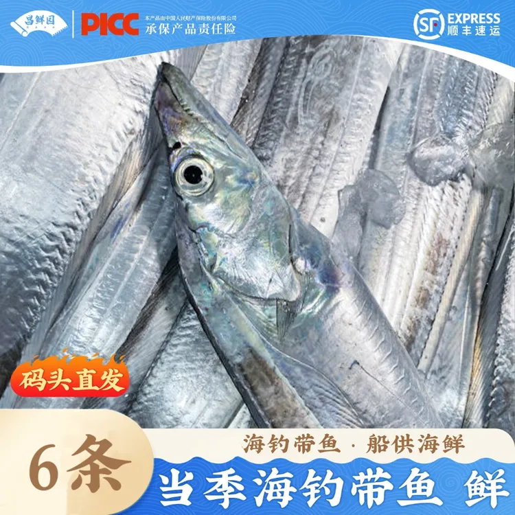 舟山整条4-6两带鱼六条装小眼海钓带鱼海鲜水产大刀鱼整箱【顺丰】