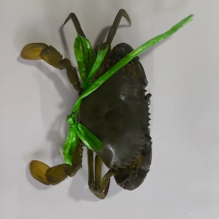 广东汕尾甲东鲜活肉蟹公母蟹2只共约350-400克