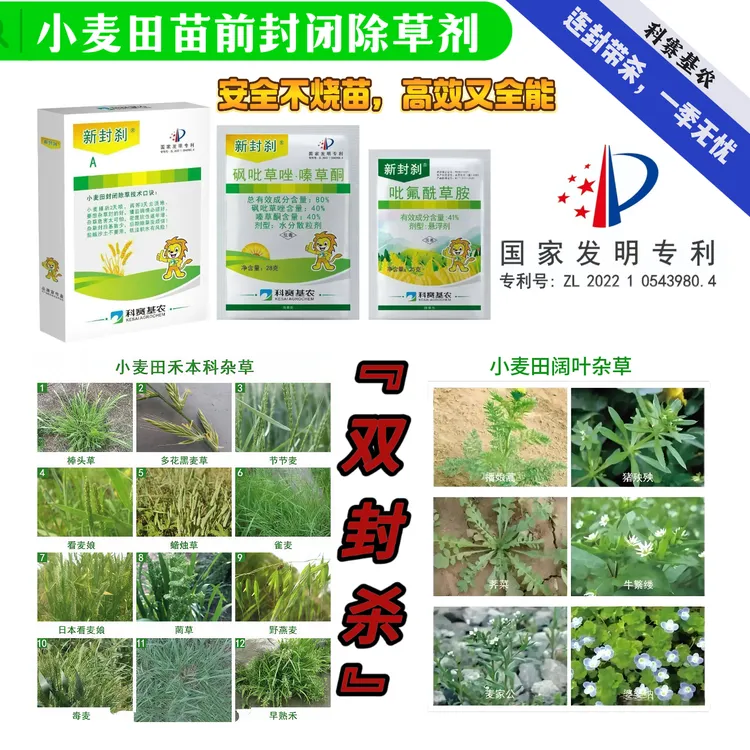 新封刹麦田苗前禾阔双封国家发明专利多花黑麦草一次用药一季无忧